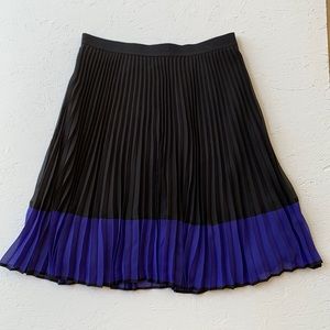 Ann Taylor skirt